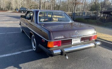 Mercedes-benz-C-class-1975-Burgundy-Tan-1