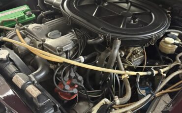 Mercedes-benz-C-class-1975-Burgundy-Tan-11