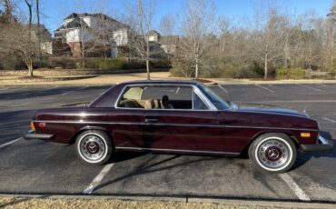 Mercedes-benz-C-class-1975-Burgundy-Tan