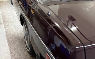 Mercedes-benz-C-class-1975-Burgundy-Tan-5