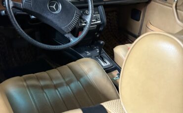 Mercedes-benz-C-class-1975-Burgundy-Tan-8