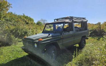 Mercedes-benz-G-class-1985-Green-Green-3