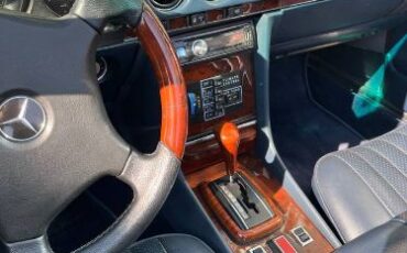 Mercedes-benz-Other-1980-Gray-Blue-Leather-10
