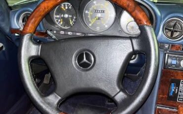 Mercedes-benz-Other-1980-Gray-Blue-Leather-3