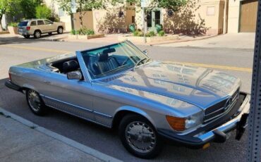 Mercedes-benz-Other-1980-Gray-Blue-Leather