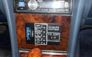 Mercedes-benz-Other-1980-Gray-Blue-Leather-4