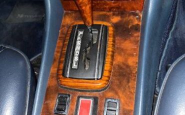 Mercedes-benz-Other-1980-Gray-Blue-Leather-6