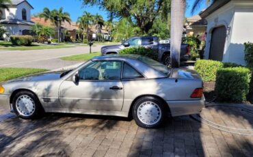 Mercedes-benz-Other-1992-Champagne-Cream-Leather-10