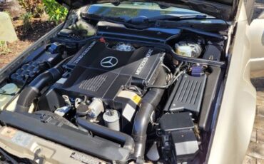 Mercedes-benz-Other-1992-Champagne-Cream-Leather-12