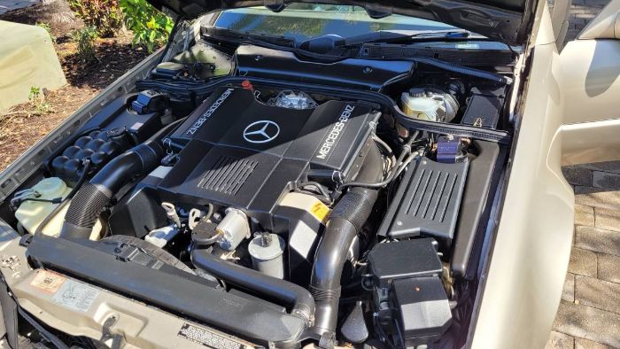 Mercedes-benz-Other-1992-Champagne-Cream-Leather-12