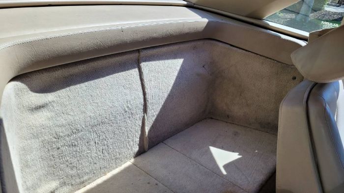 Mercedes-benz-Other-1992-Champagne-Cream-Leather-2