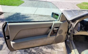 Mercedes-benz-Other-1992-Champagne-Cream-Leather-3