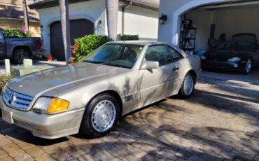 Mercedes-benz-Other-1992-Champagne-Cream-Leather