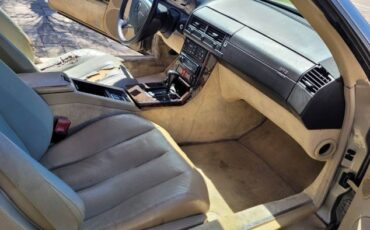 Mercedes-benz-Other-1992-Champagne-Cream-Leather-4
