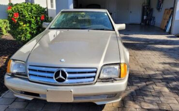 Mercedes-benz-Other-1992-Champagne-Cream-Leather-7
