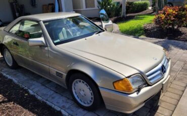 Mercedes-benz-Other-1992-Champagne-Cream-Leather-8