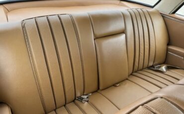 Mercedes-benz-Se-1967-Cream-Saddle-11