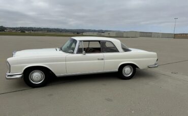 Mercedes-benz-Se-1967-Cream-Saddle-17