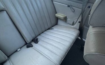 Mercedes-benz-c-class-1971-grey-9