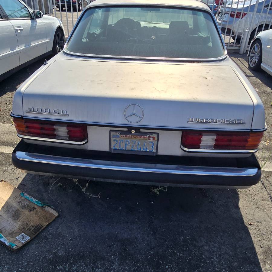 Mercedes-benz-diesel-1983-grey-5