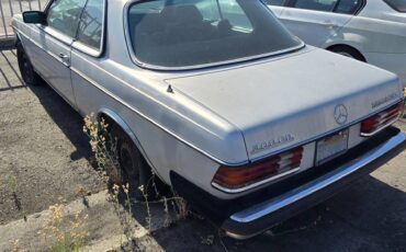 Mercedes-benz-diesel-1983-grey-6