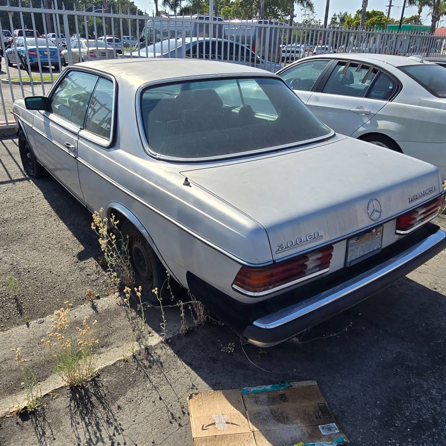 Mercedes-benz-diesel-1983-grey-6