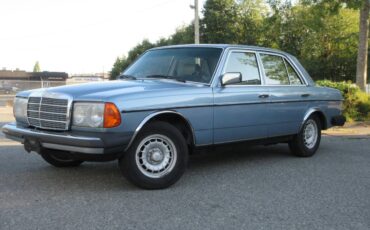 Mercedes-benz-e-class-diesel-1981-blue-12
