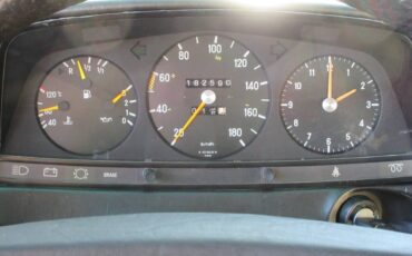Mercedes-benz-e-class-diesel-1981-blue-5