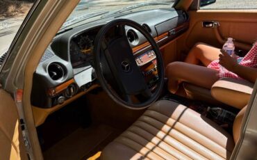 Mercedes-benz-e-class-diesel-1985-brown-1