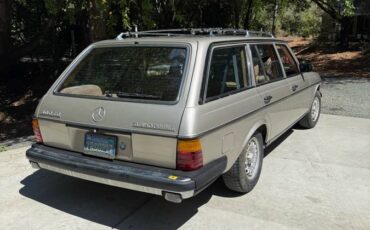 Mercedes-benz-e-class-diesel-1985-brown-2