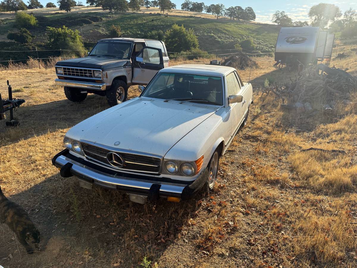 Mercedes-benz-s-class-1976-white-3