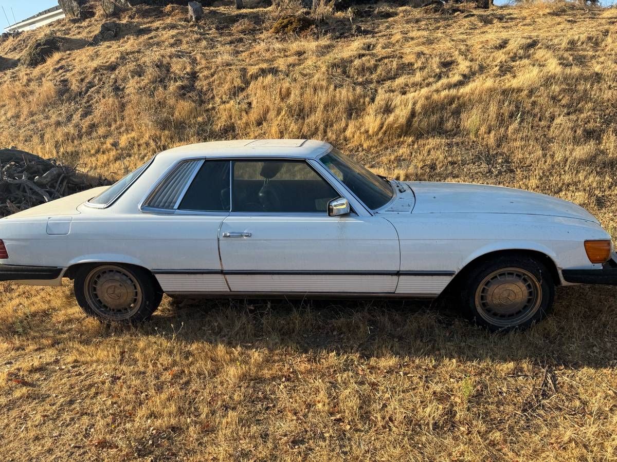 Mercedes-benz-s-class-1976-white-4