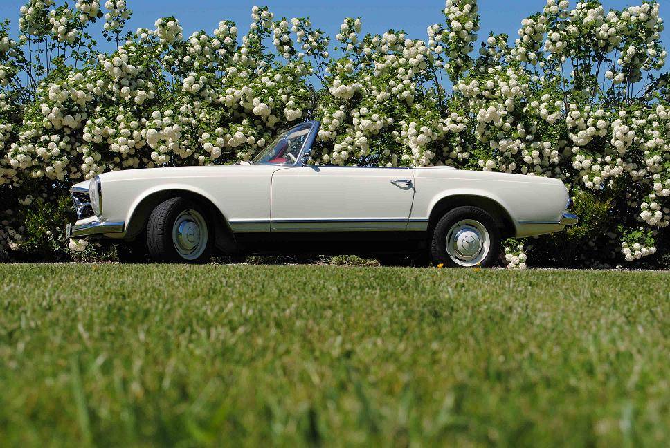 Mercedes-benz-sl-class-1964-white