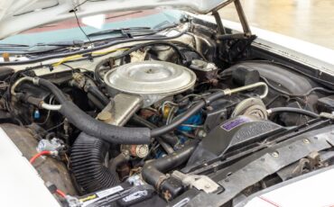 Mercury-Cougar-1979-Coupe-11