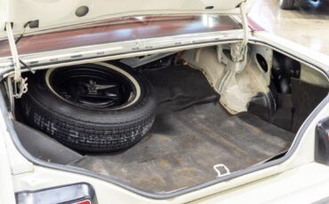 Mercury-Cougar-1979-Coupe-17