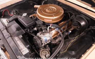 Mercury-Park-lane-1964-Tan-Tan-33