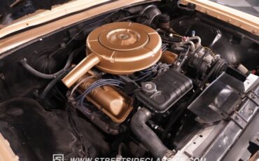 Mercury-Park-lane-1964-Tan-Tan-35