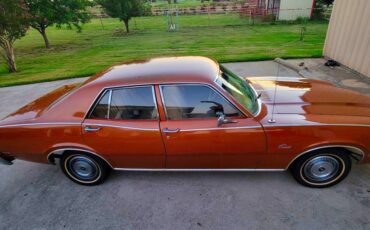 Mercury-comet-1974-brown-12
