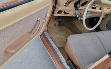 Mercury-comet-1974-brown-13