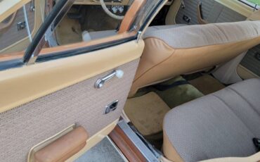 Mercury-comet-1974-brown-14