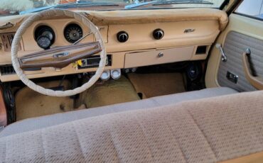 Mercury-comet-1974-brown-15