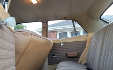 Mercury-comet-1974-brown-16
