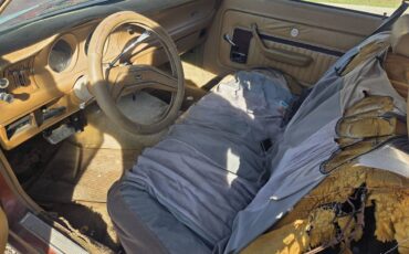 Mercury-comet-1975-brown