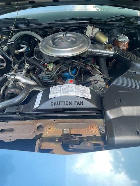 Mercury-grand-marquis-lsmercury-grand-marquis-1982-blue-20