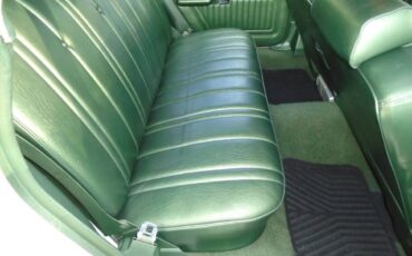 Mercury-montego-mx-1973-green-15