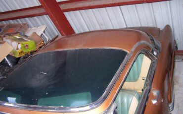 Mercury-sunvalley-1954-brown-3