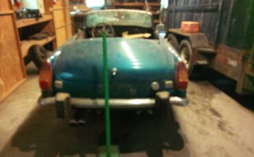 Mg-1972-green-3