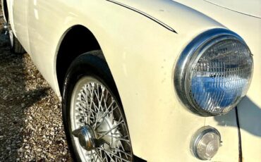 Mg-A-1959-White-Red-5