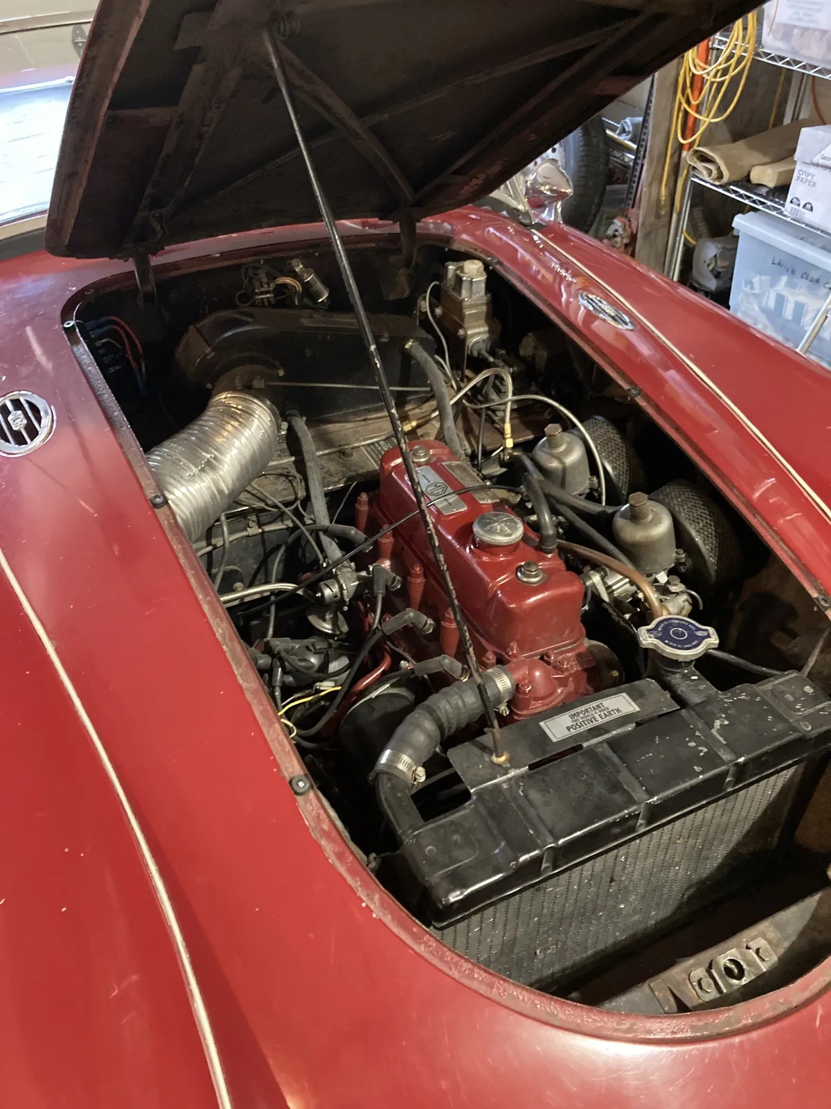 Mg-A-1960-Red-Black-7