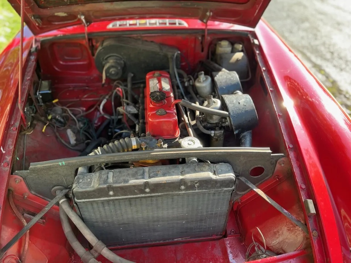 Mg-B-1964-17